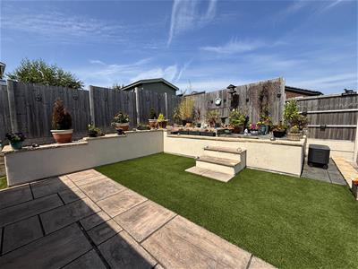 Picture 19